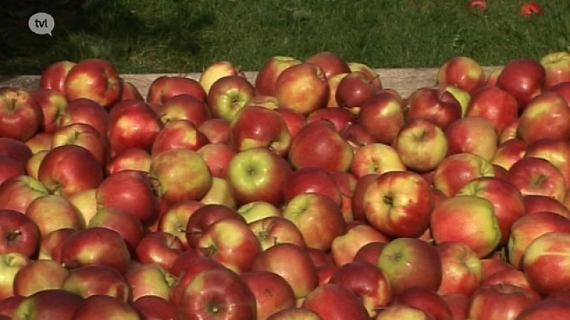 BelOrta gaat appelen promoten in India