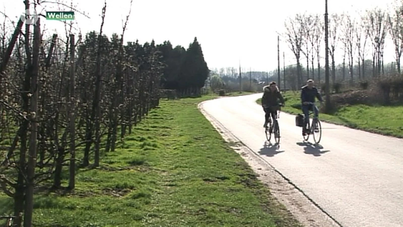 Bloesems iets vroeger door het mooie weer