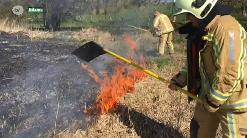 Weidebrand aan kasteel Alden Biesen