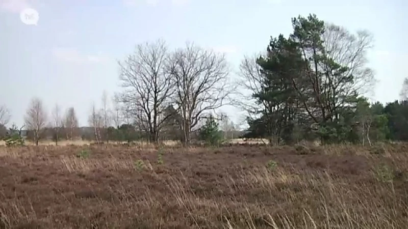 Code oranje in Limburgse bossen