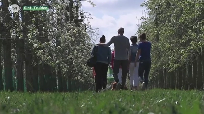 Moeten we inzetten op het Haspengouws landschap in plaats van landbouw of fruitteelt?