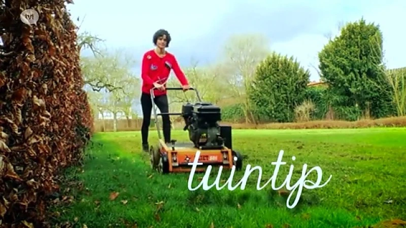 Natuurlijk!