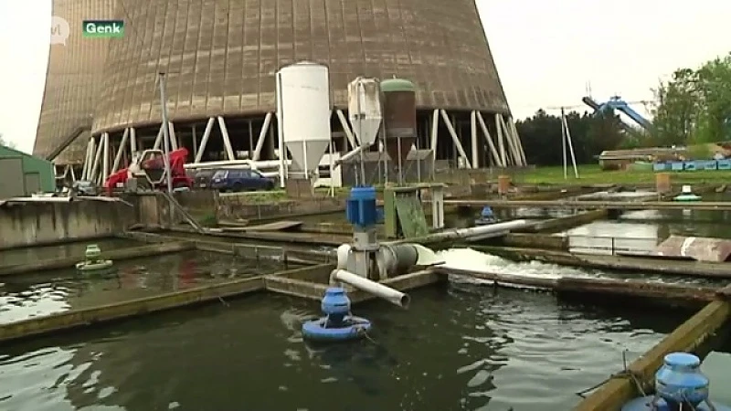 Sluiting Langerlo is slecht nieuws voor familiebedrijf dat koi karpers kweekt