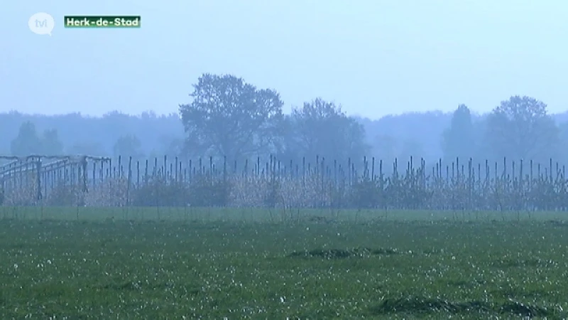 Smog over Limburg door anti-vriesvuren van fruittelers