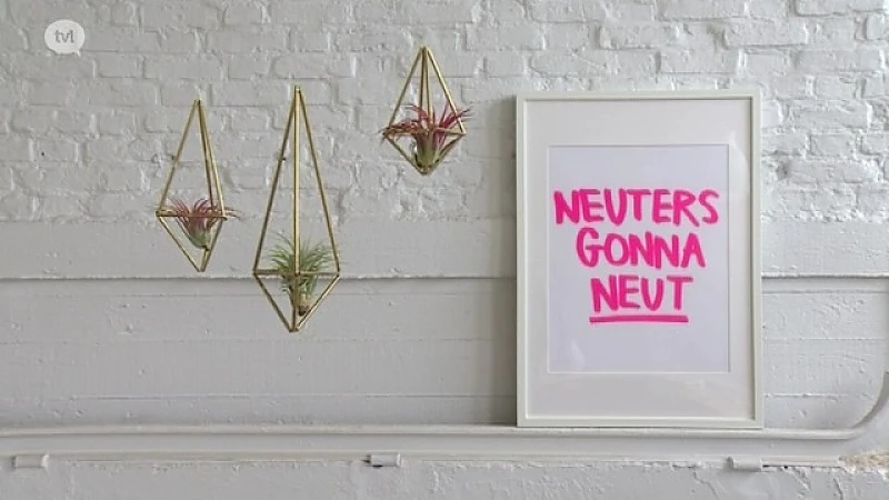 Doe-het-zelf: Plantjes in de lucht