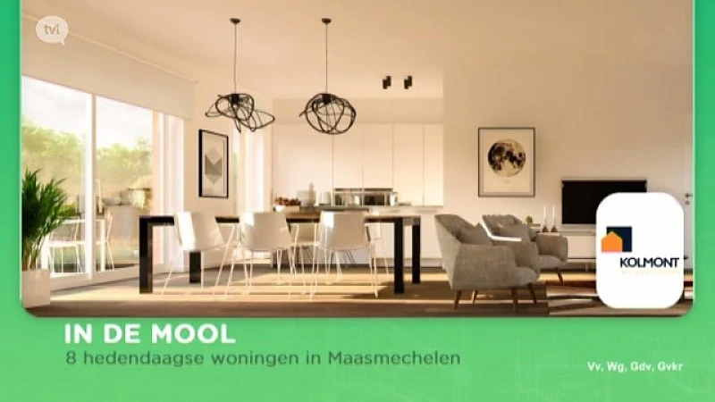 Energiezuinige woningen In de Mool
