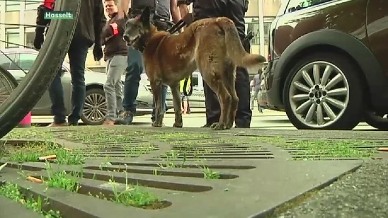Grootscheepse politiecontroles en razzia's in Hasselt