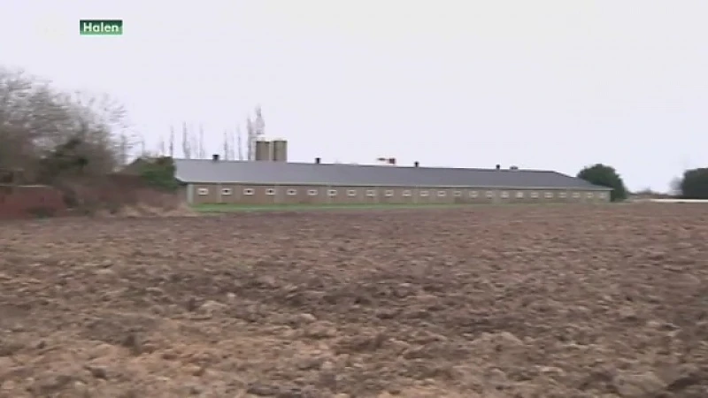 Varkensboerderij Halen mag niet uitbreiden