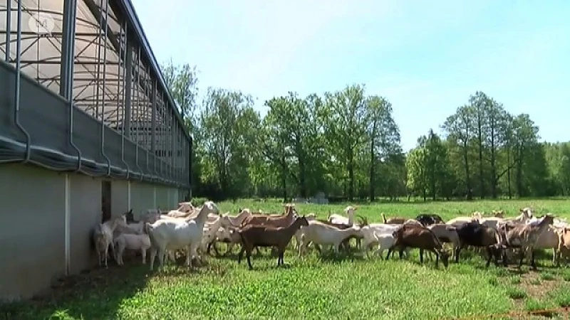 Fan van Limburg: 18 mei 2017