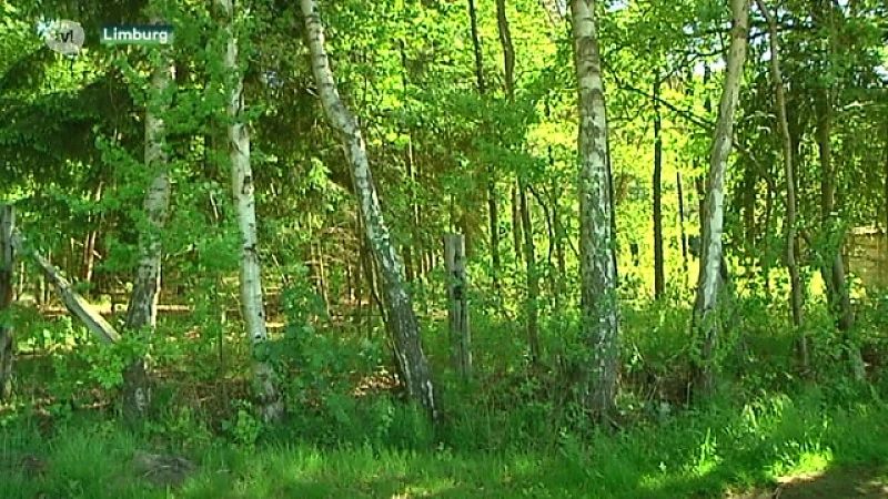 VKW pleit voor ''tijdelijke natuur'' na debacle met boskaart