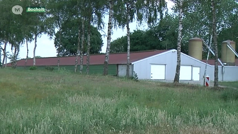 Kippenhouderij in Bocholt krijgt geen milieuvergunning voor uitbreiding