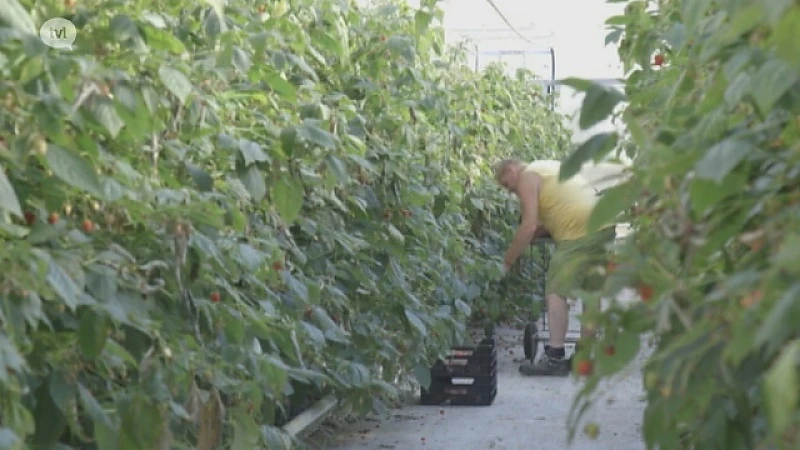 Wakker op de akker: Zachtfruit