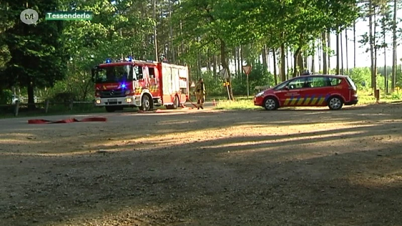 Brandweer massaal naar bosbrand Tessenderlo