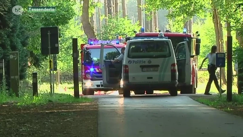 Brandweer massaal naar bosbrand Tessenderlo