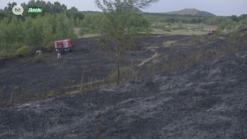 Meer dan 3 hectare heide achter Thor Park brandt af