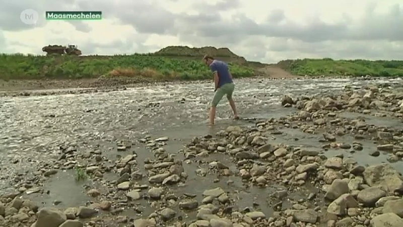 Waterpeil Maas extreem laag: je kan te voet naar Nederland.