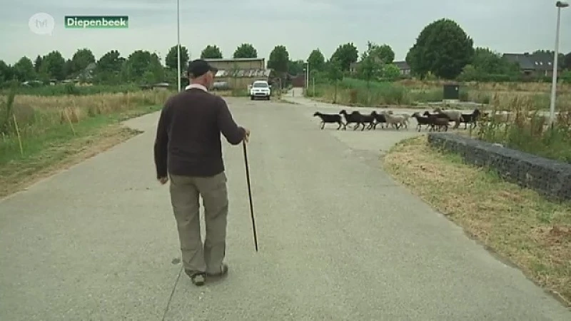 Ecologische industrieterrein in Diepenbeek