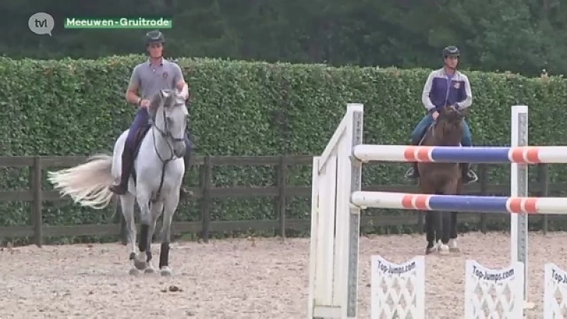Waarom betalen dochters van Steve Jobs, Bill Gates en Bruce Springsteen miljoenen voor Belgische paarden?