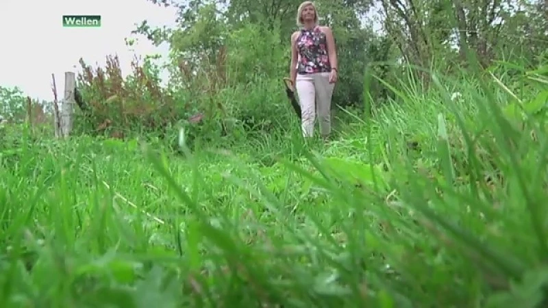 Waarom wonen op het platteland wél fantastisch is