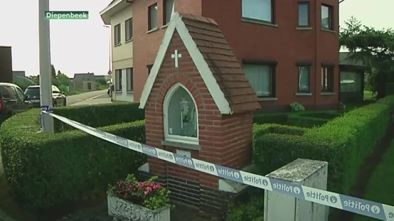 Satanist uit Diepenbeek onthoofdde eigen moeder