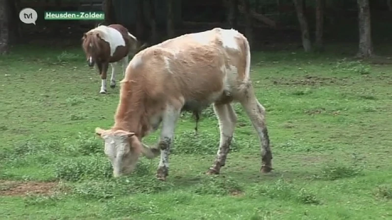 Vogel-en Zoogdierenopvangcentrum dient klacht in wegens poging doodslag na schermutseling bij inbeslagname