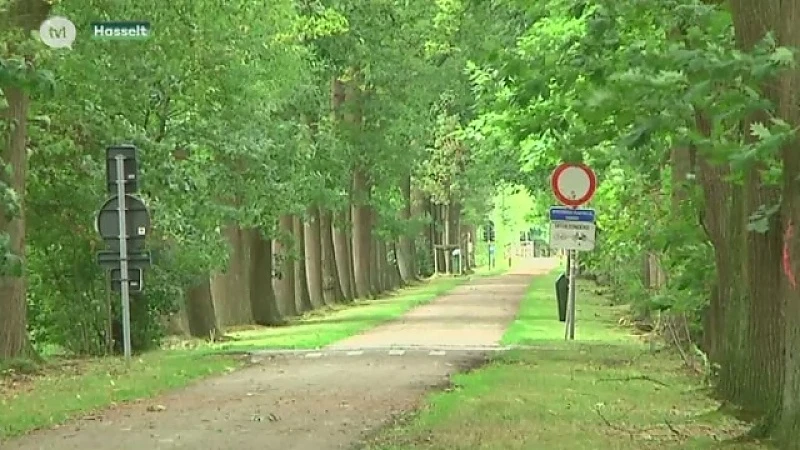 Buurtbewoners verbolgen over kap van oude eiken in Kiewit