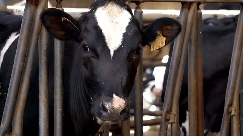 Tintelboeren geven landbouweducatie