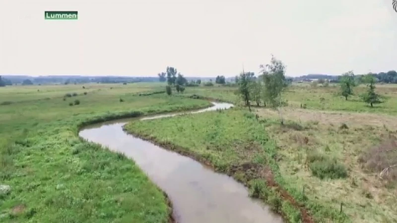 Zwarte Beek kronkelt weer als vanouds in Lummen