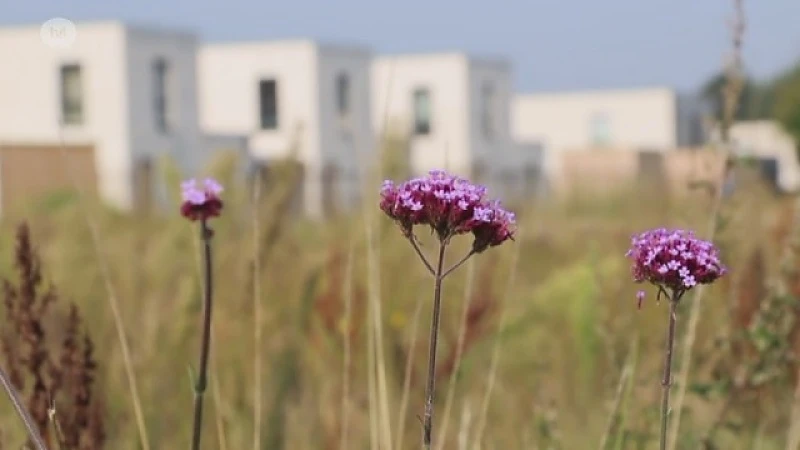 In Heusden-Zolder worden er volop sociale woningen gebouwd