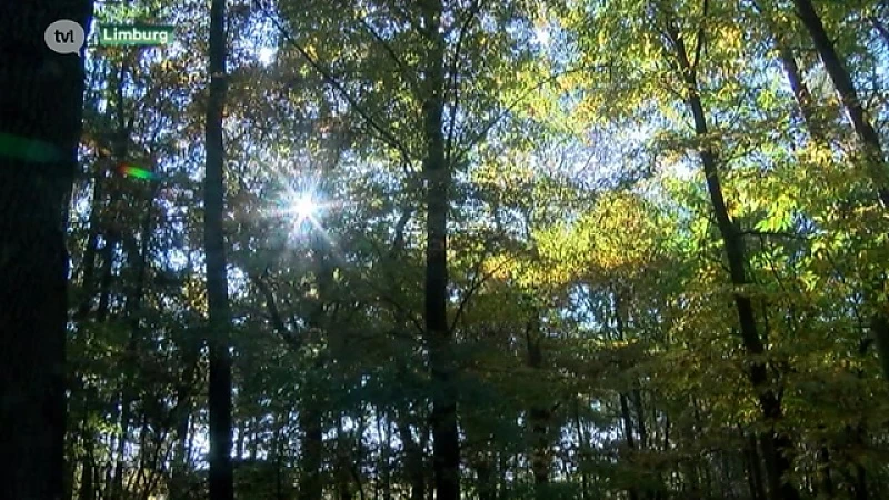 Mooie nazomer op komst met temperaturen tot 24 graden