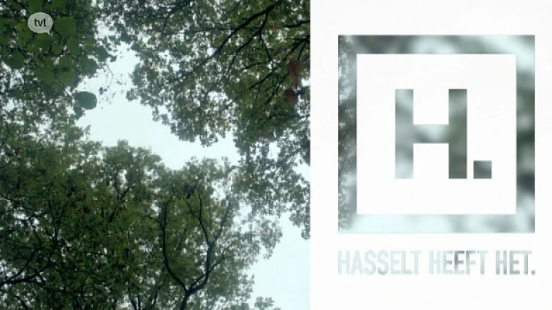 Hasselt heeft het