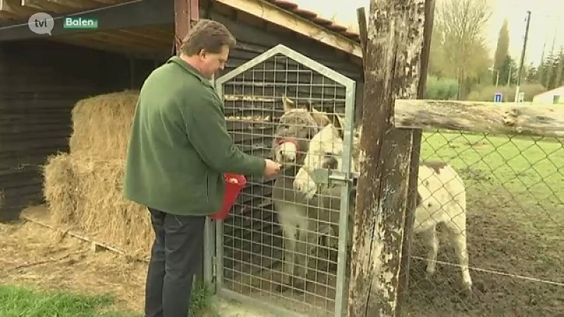 Olmense Zoo wordt vzw, Limburger werkt mee aan doorstart