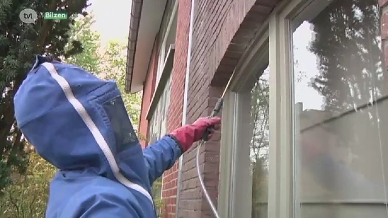 Brandweer verdelgt nog altijd wespen in november