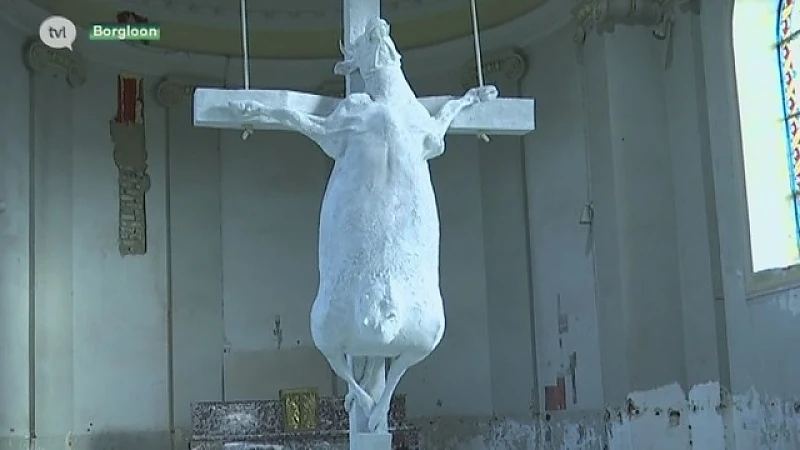 Holy Cow! Kunstenaar Tom Herck kruisigt koe in kapel in Borgloon