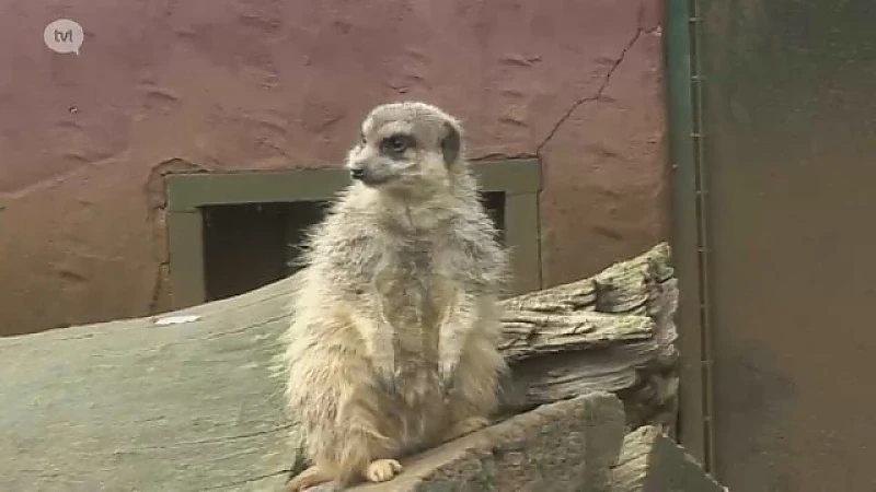 Olmense Zoo terug open voor het publiek