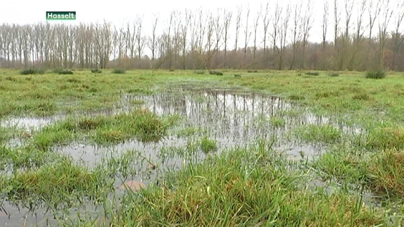 Slecht onderhoud zorgt voor wateroverlast in omgeving van Herkenrode