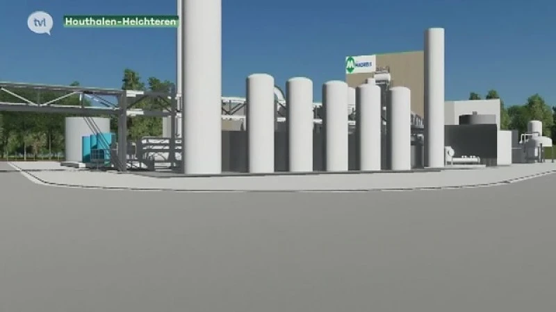 Raad van State schorst project Machiels voor zomereik