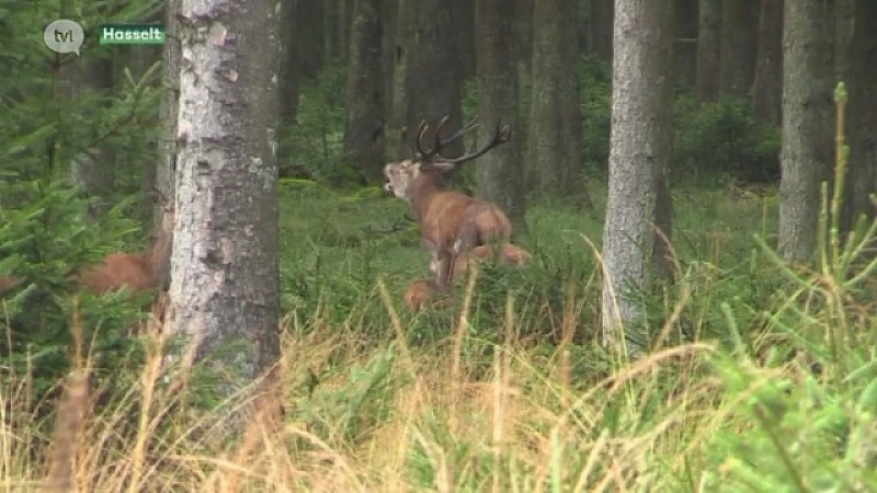 Natuurfilm van Hasselaar Frederik Thoelen genomineerd voor grote prijs in Frankrijk