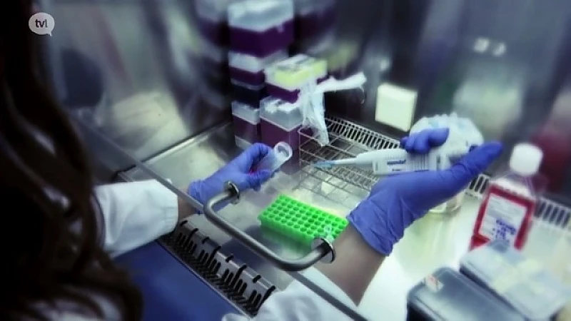 Provincie Limburg: Biomat on microfluidic chip
