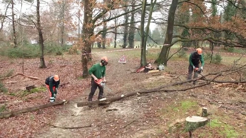 Hechtel-Eksel: Terugblik 2017