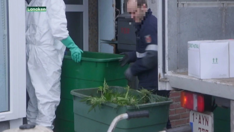 Cannabisplantage opgerold in Rekem