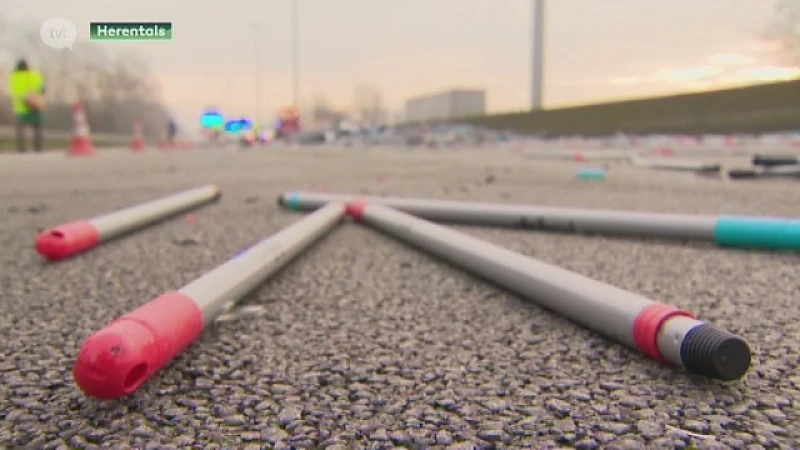 Urenlange file van Hasselt naar Antwerpen door duizenden borstelstelen op de weg
