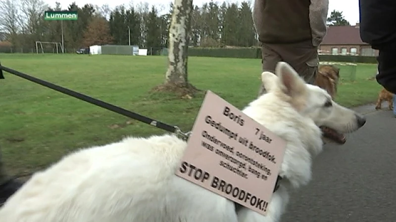 Protestmars tegen Hezenhof