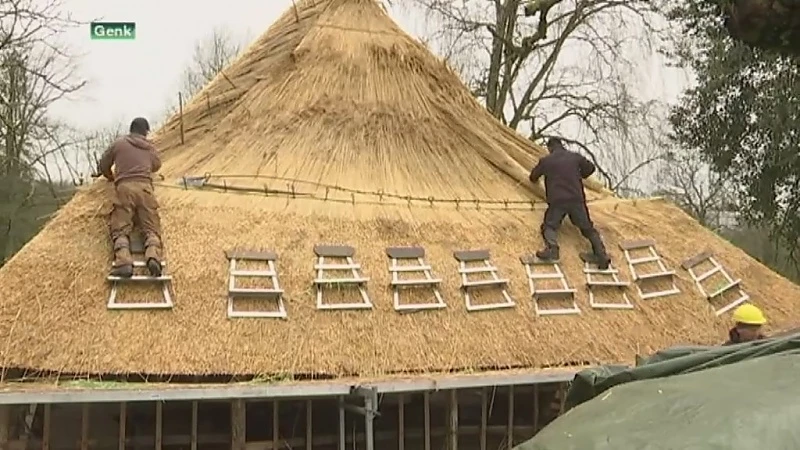 Reeks 60 jaar Bokrijk (deel 2): 120 huizen worden opnieuw gerestaureerd