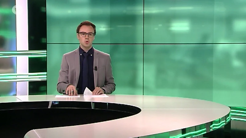 Ook mysterieuze mazoutsporen in Banneuxwijk in Hasselt