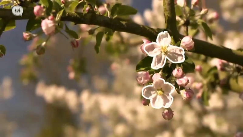 Natuurlijk!: Aflevering 2