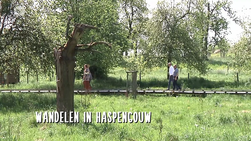 Wandelen in Haspengouw