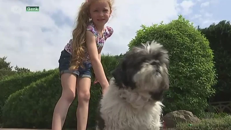 Gestolen hondje weer terecht na oproep op TV Limburg