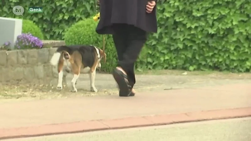 Vrouw belt buurt in Genk iedere nacht wakker