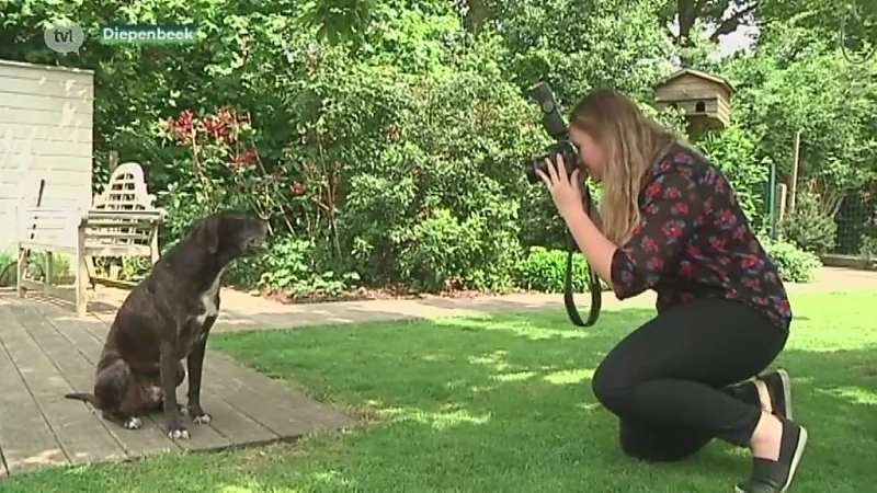 Sophie fotografeert asieldieren om voor hen een goed baasje te vinden